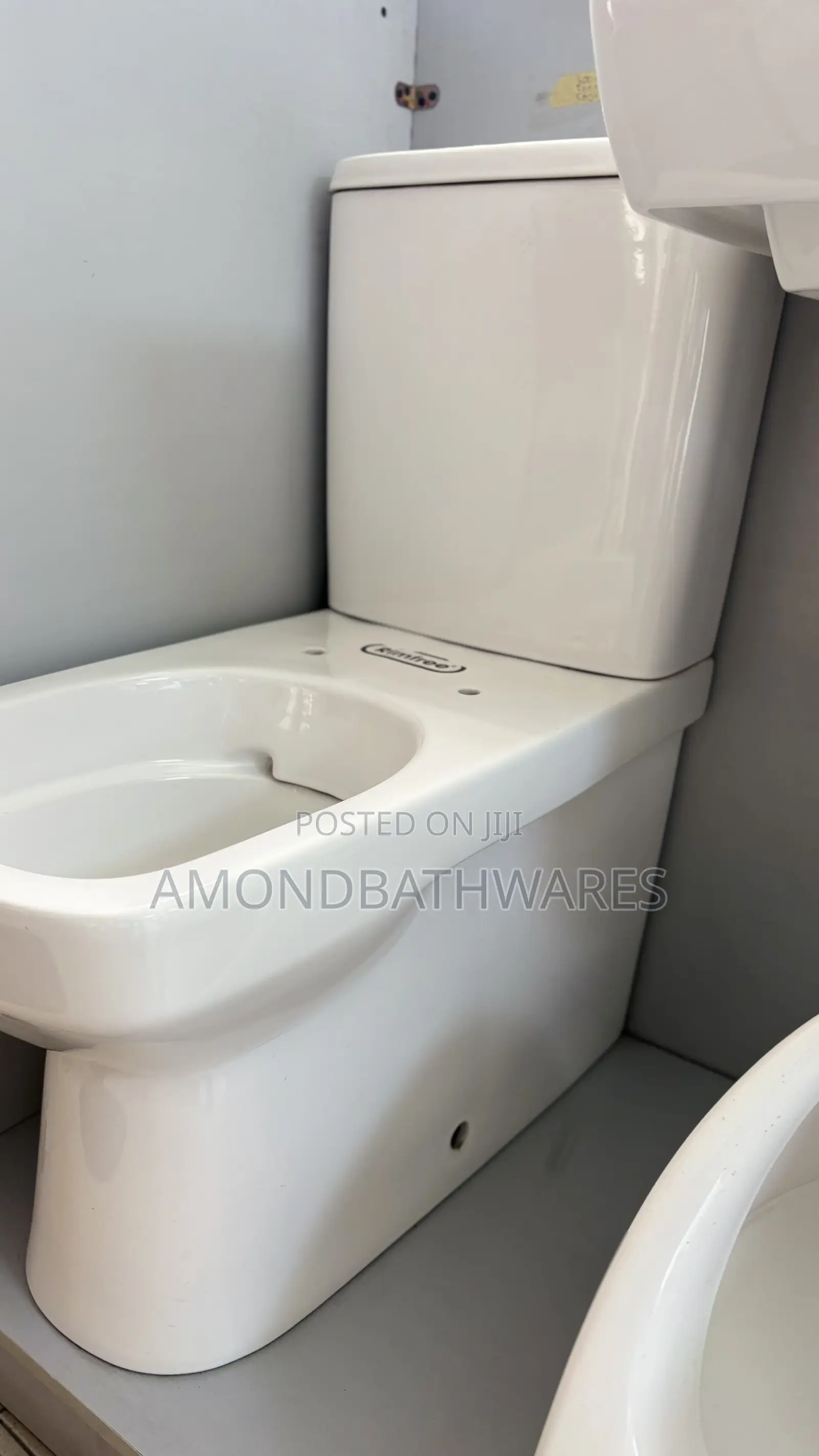 Geberit Seat and Tank Wc (Square)