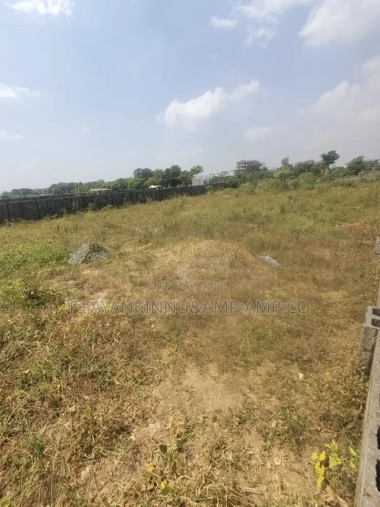 Commercial Plot in CBD Abuja