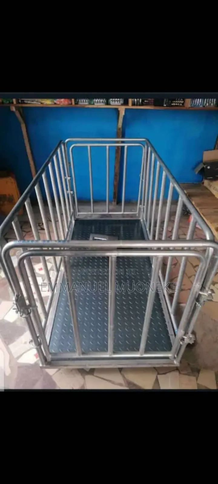Animal Weighing Scale Or Walk Scale