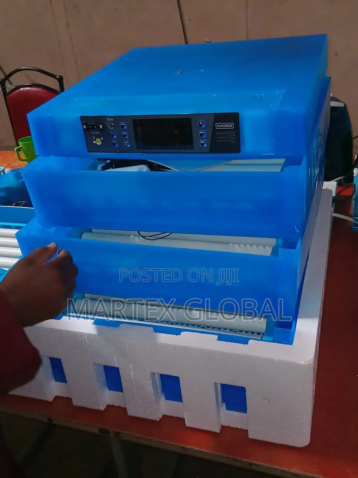 64 Eggs Automatic Dual Power Incubator