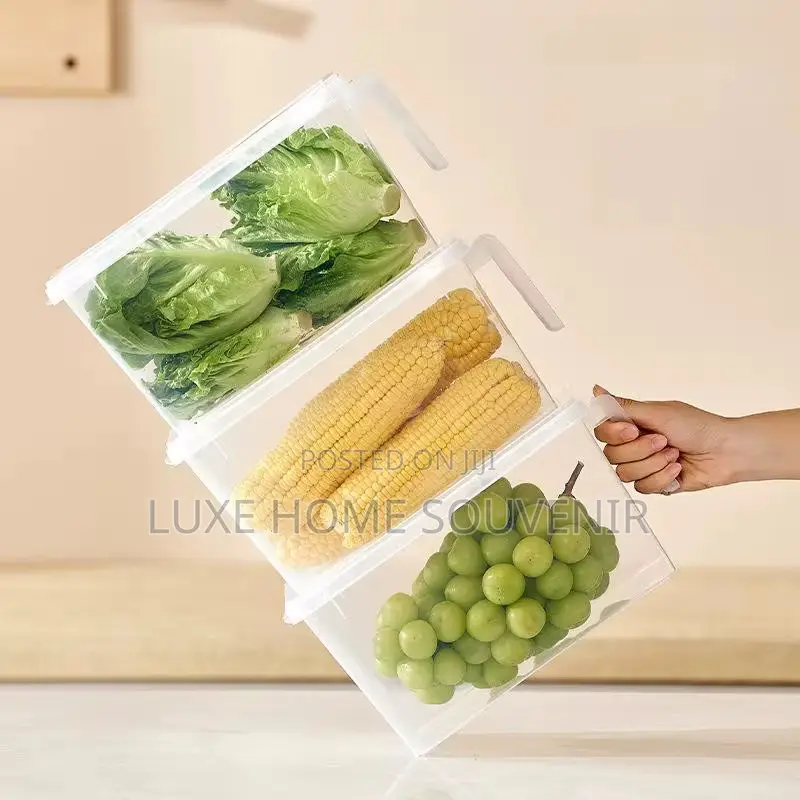 Refrigerator Food Storage Container