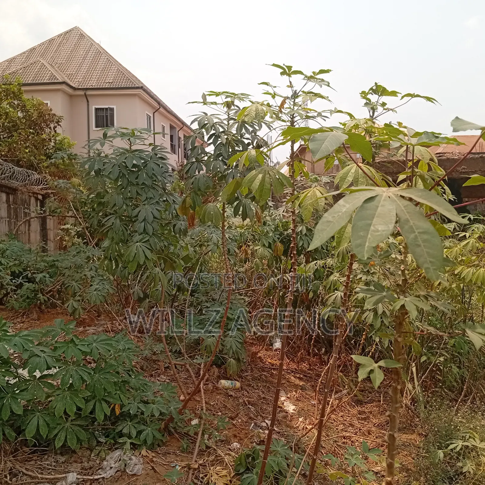 A Plot of Land With Incompleted Building