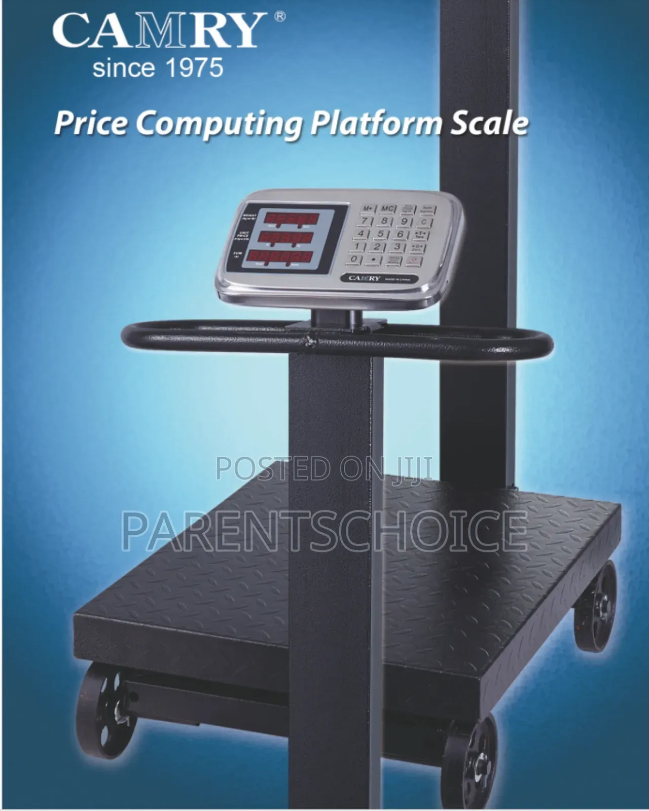 Commercial Industrial Display Balance Computing Weighing Scale 600kg