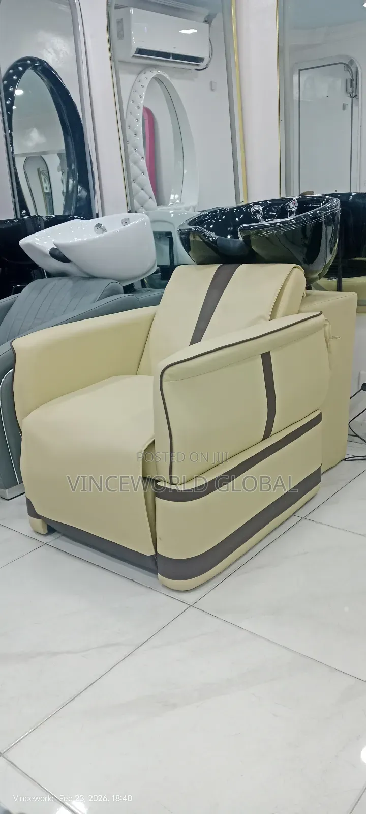 Luxurious Shampoo Basin With Massage and Remote Controller