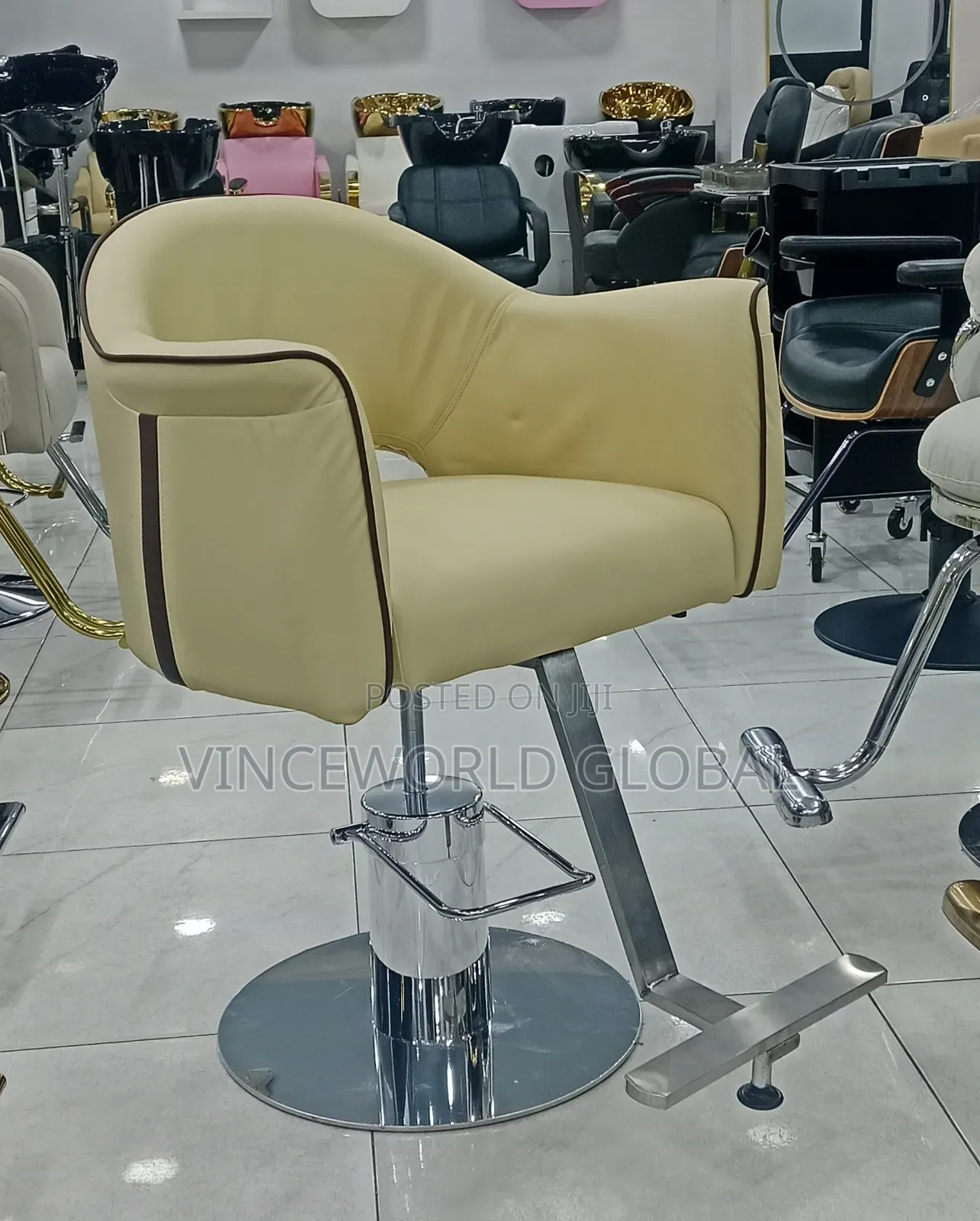 Colorful Brown Salon Chair
