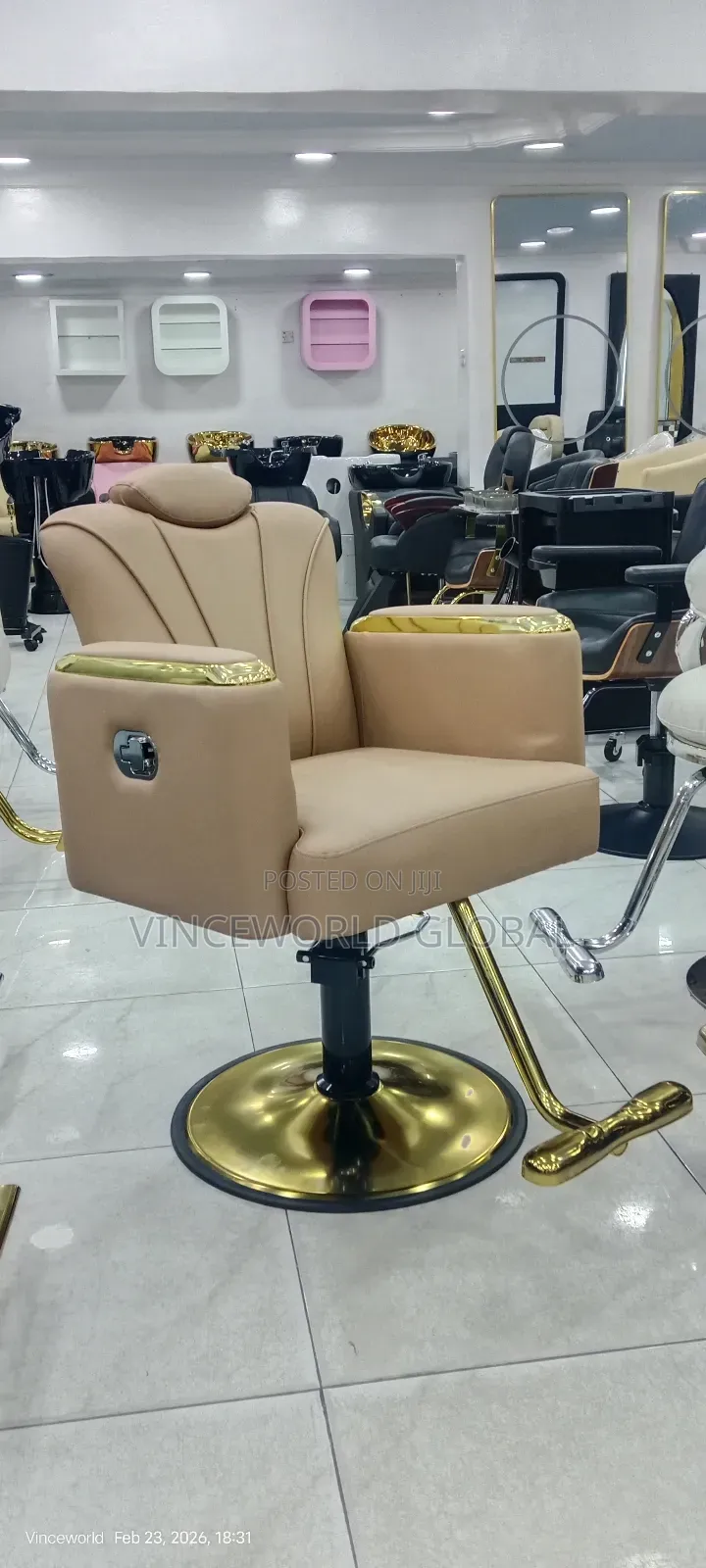 Beautiful Brown Salon Chair