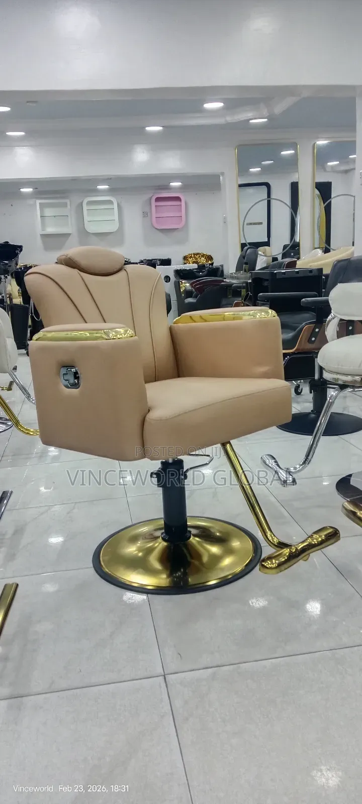 Beautiful Brown Salon Chair