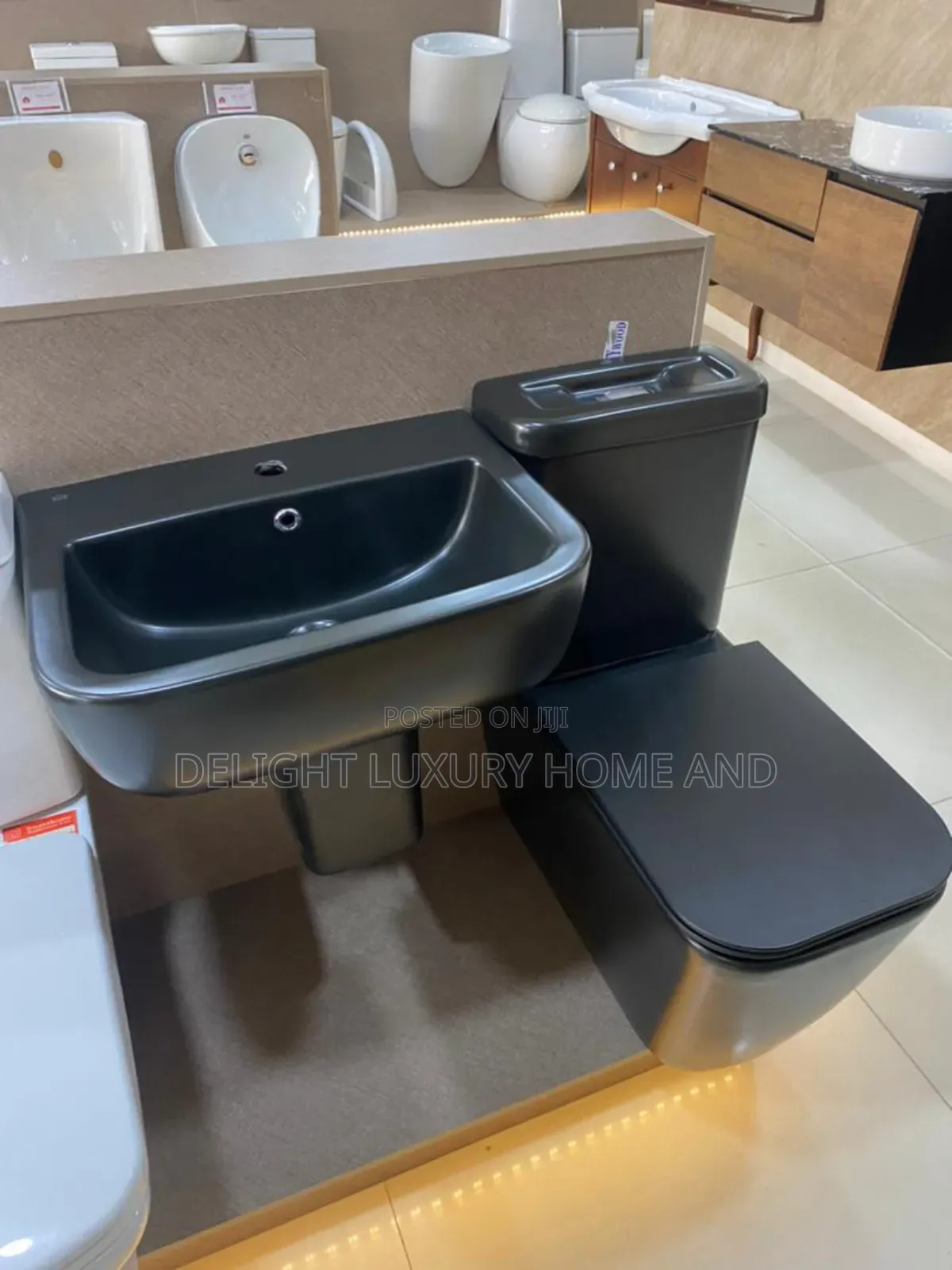 Black Wc With Basin and Pedestal