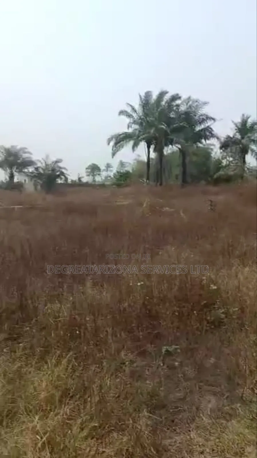 Buy Build Land at Millennium City Layout, Awka