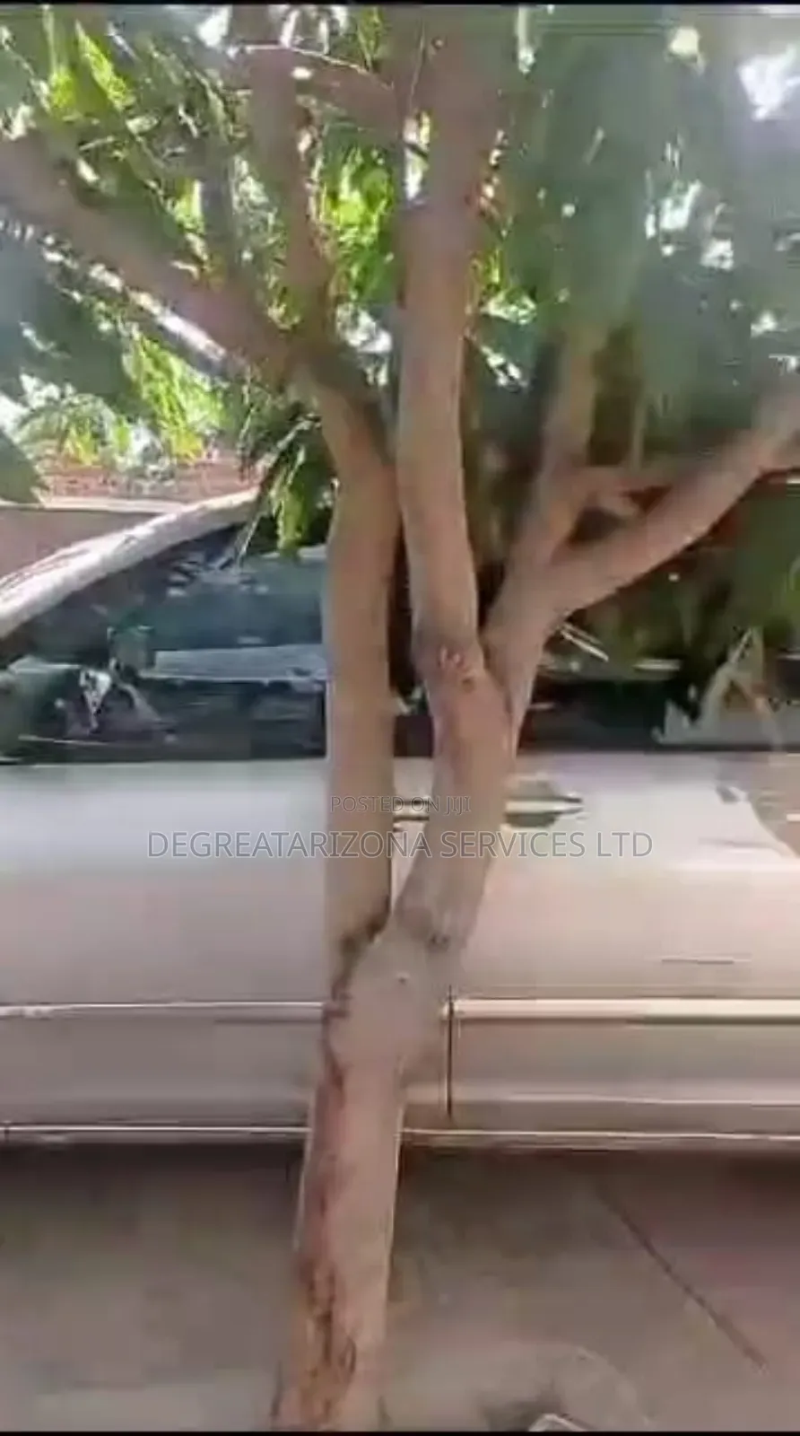 Hotel for Sale – Awka Capital Territory, Anambra State