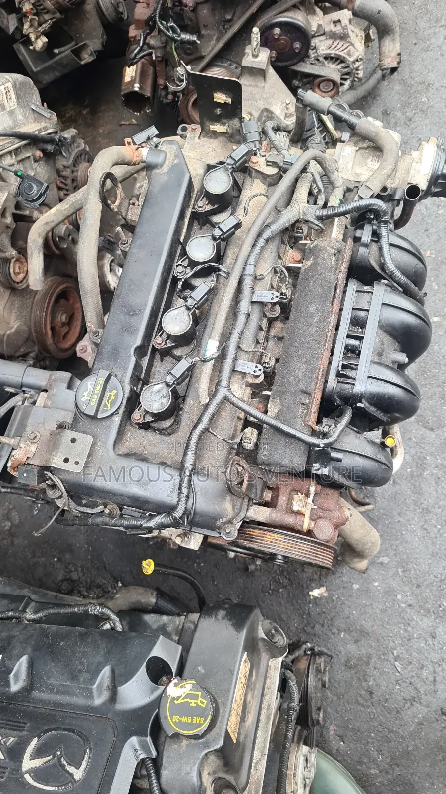 Ford Focus Engine and Transmission 2004