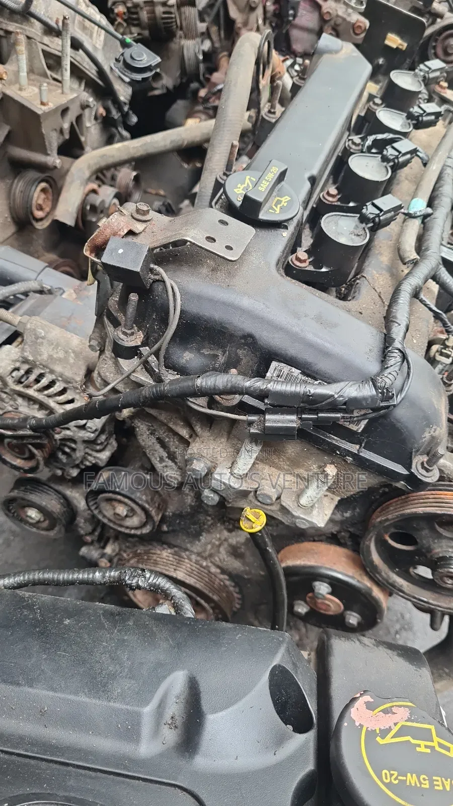 Ford Focus Engine and Transmission 2004