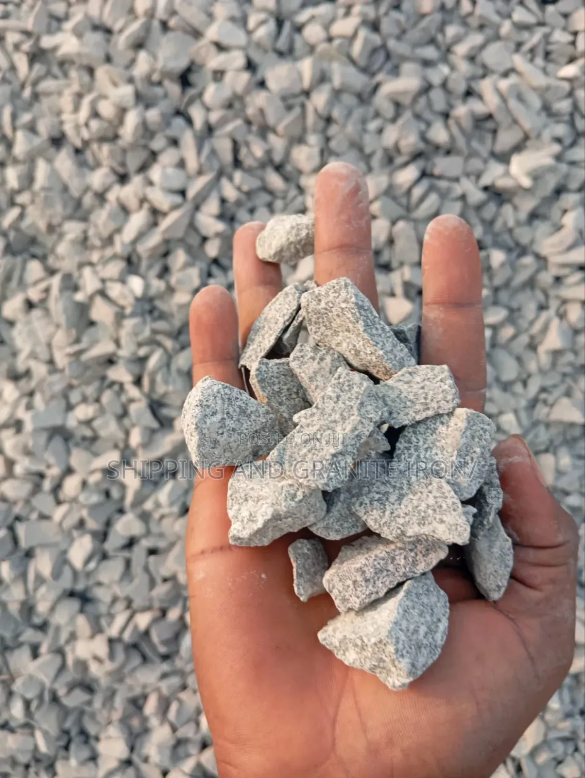Gold Diamond Shippings Agranate