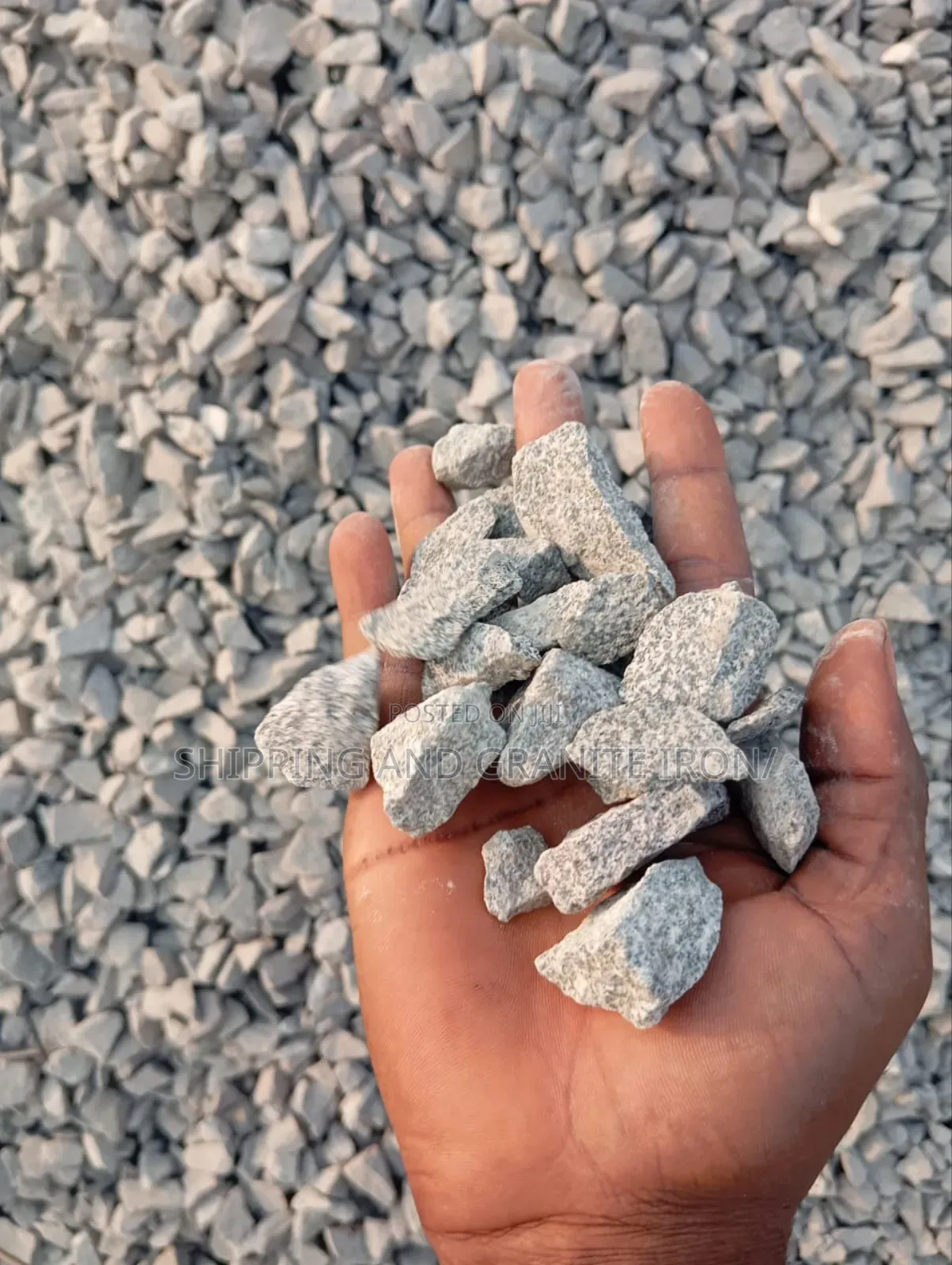Gold Diamond Shippings Agranate