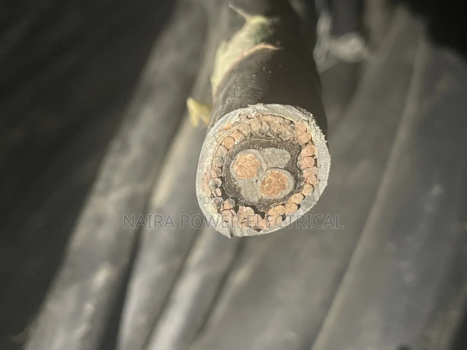 16mm 2core Armored Cable Coleman