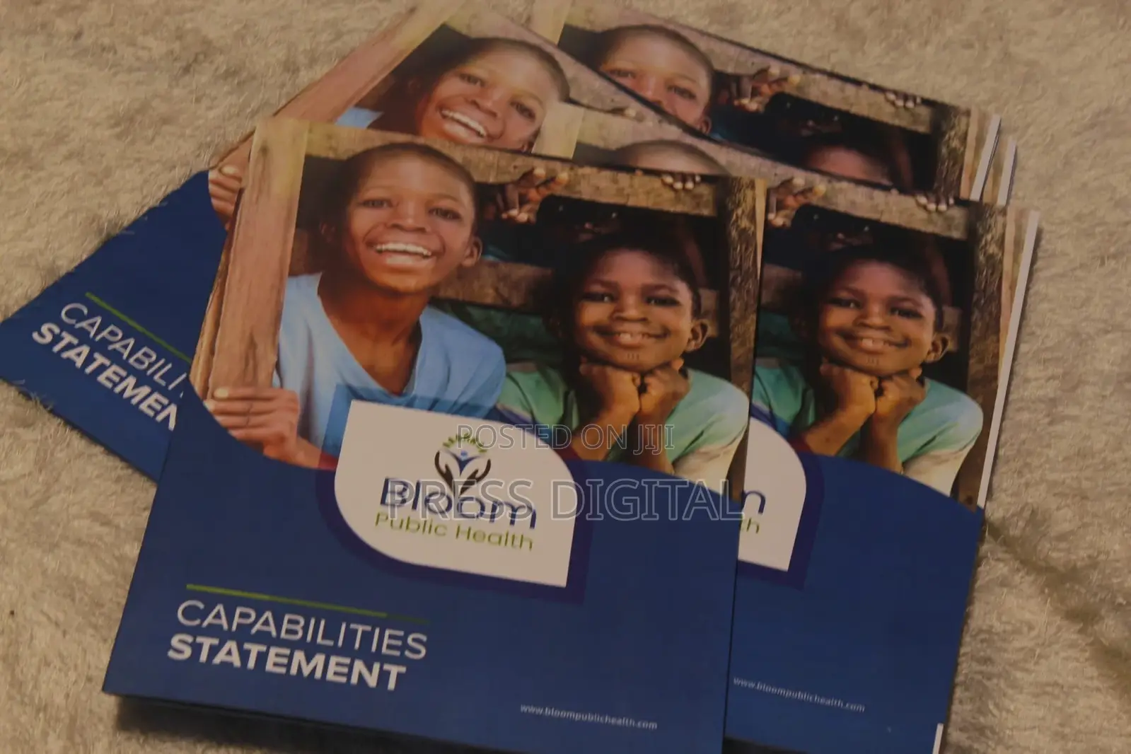 Custom A4 Quality Company Brochure
