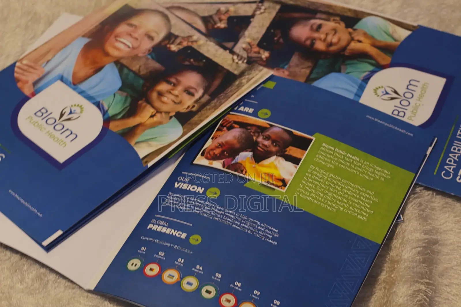 Custom A4 Quality Company Brochure