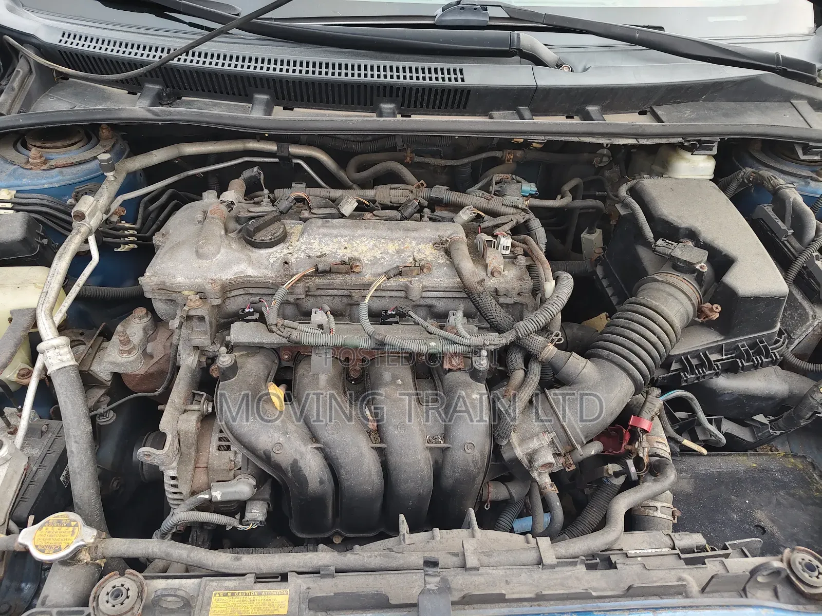 Toyota Corolla LE 4dr Sedan (1.8L 4cyl 4A) 2010 Blue