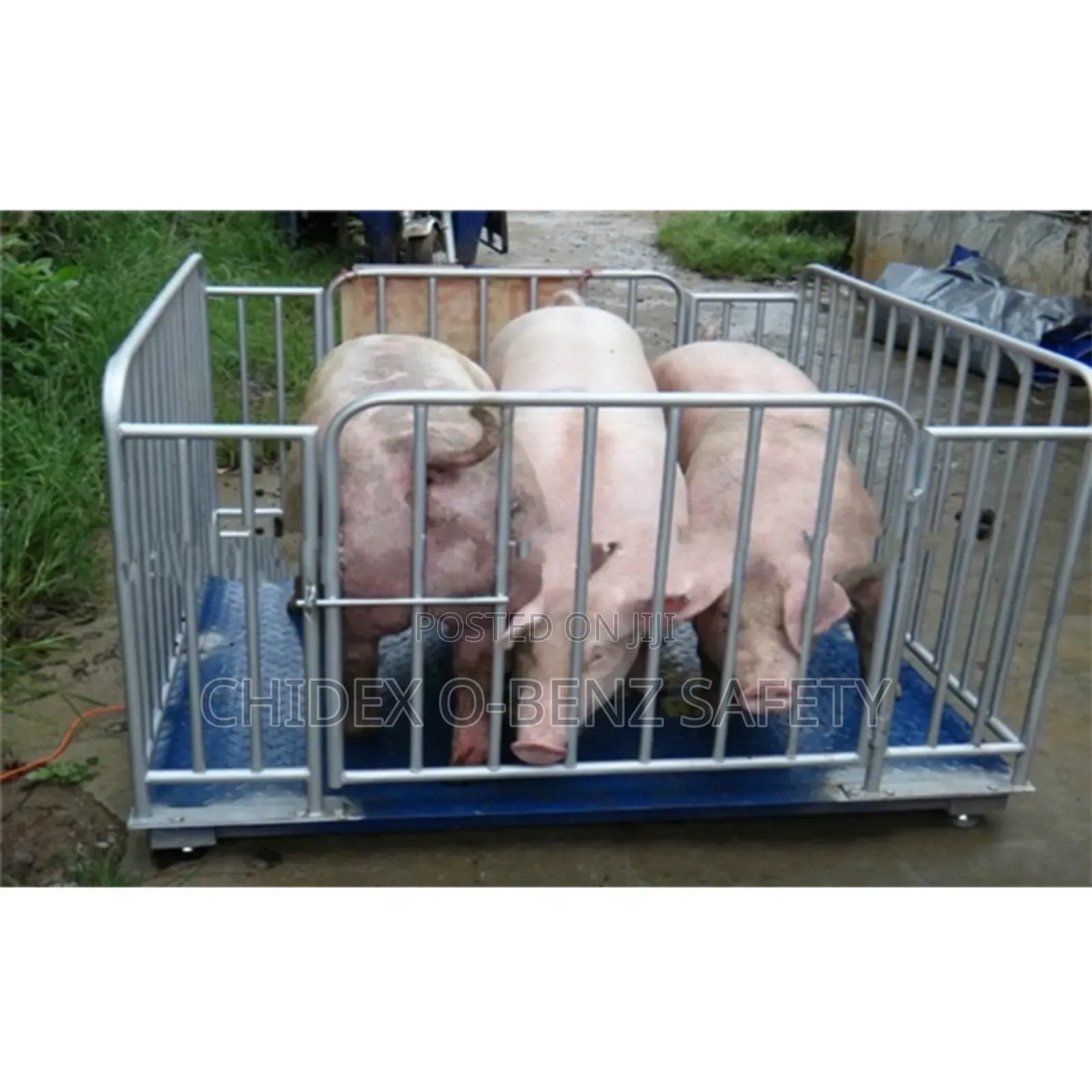 800*1t Livestock Weighing Scale With Metal Cage