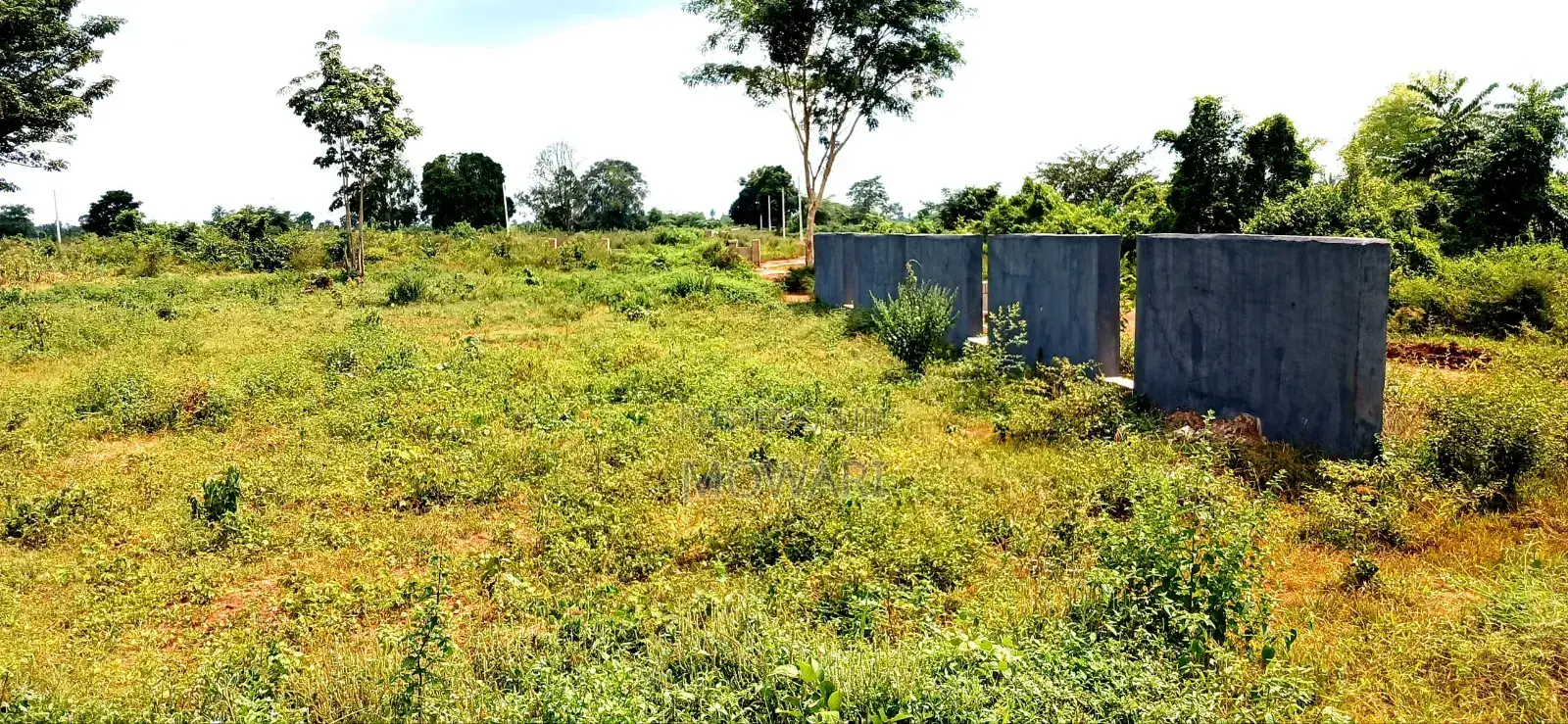 Land in Issele-Mkpetime, Delta • 464sqm • Deed Survey • ₦3.5m