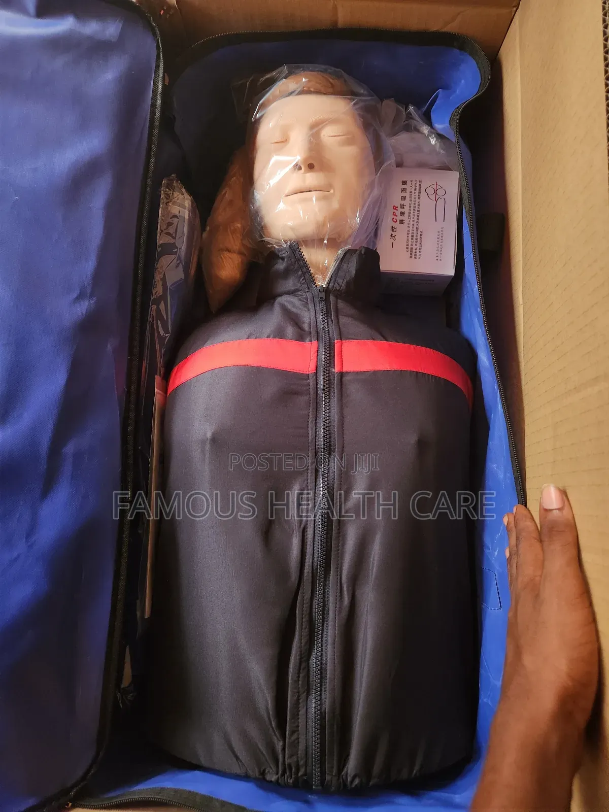 Cpr Manikin