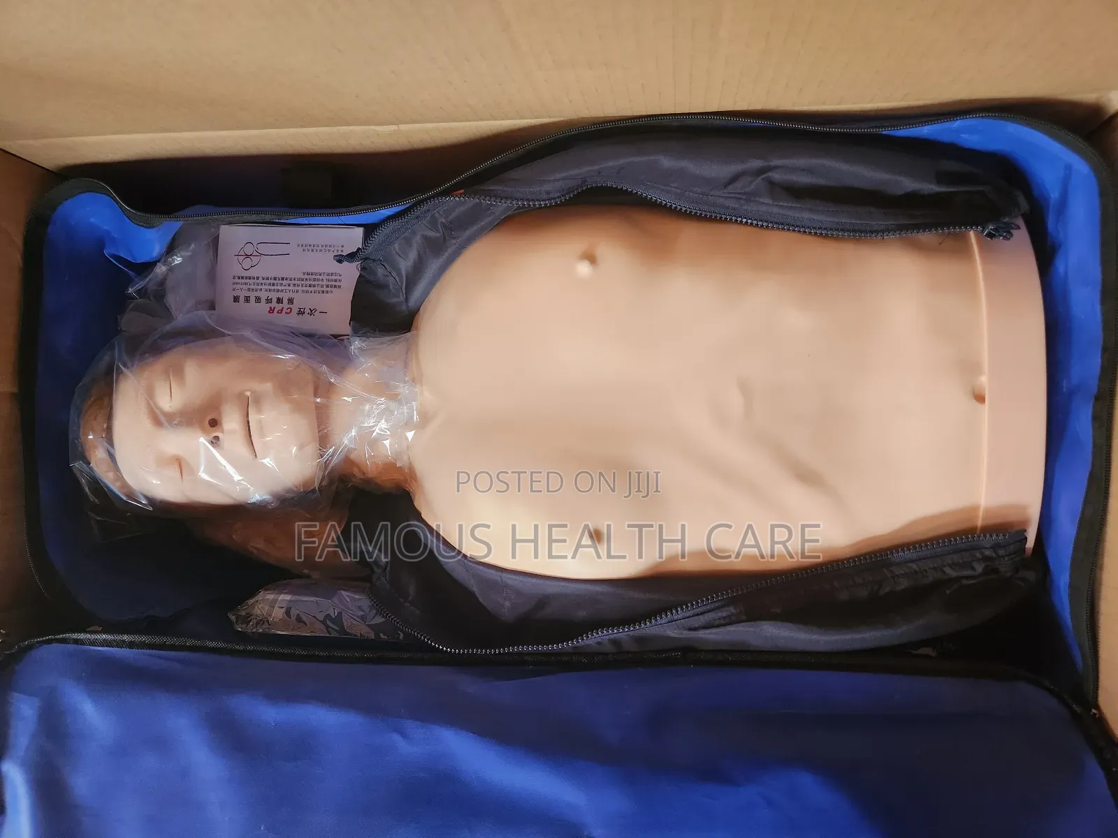 Cpr Manikin