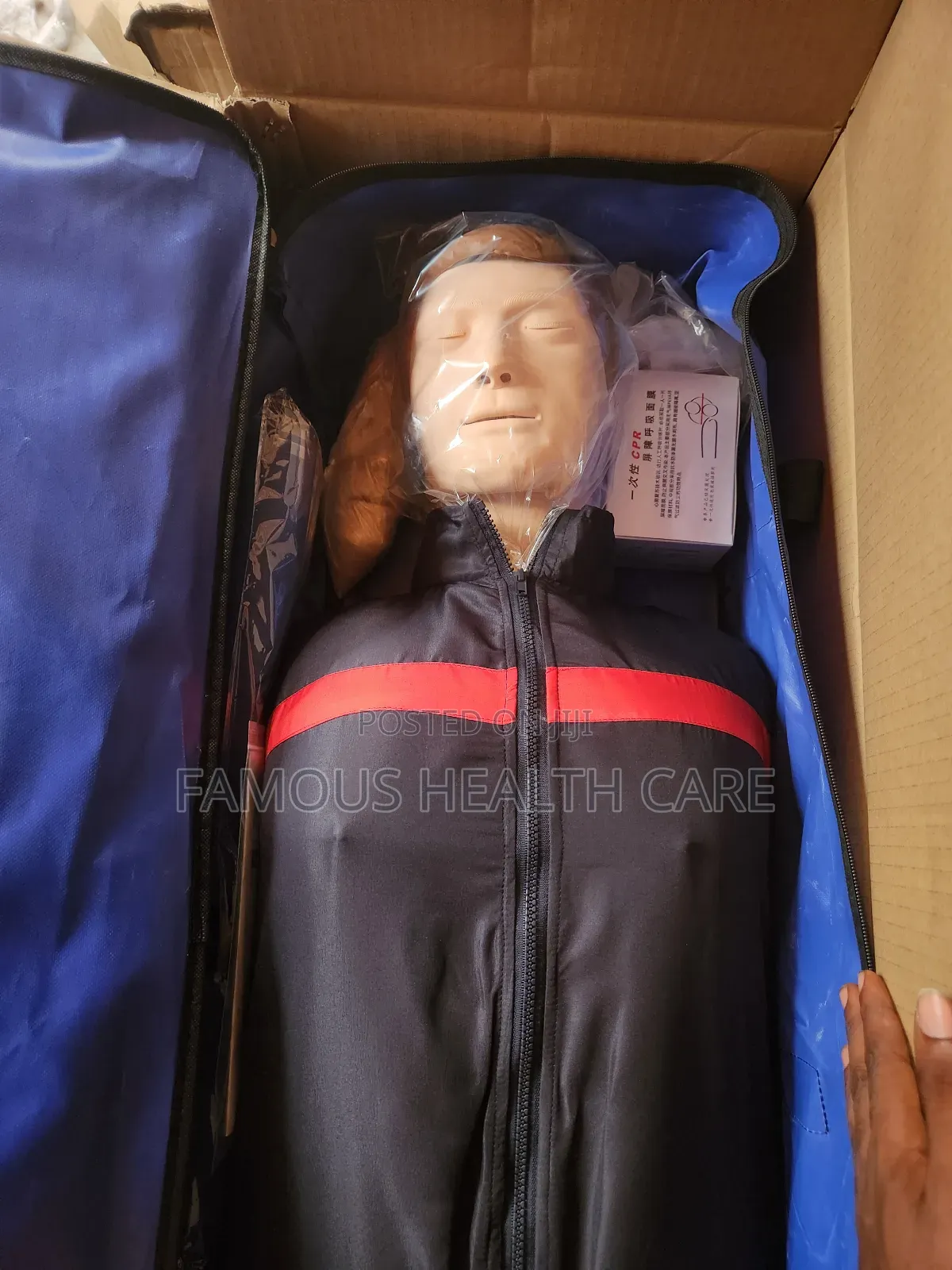 Cpr Manikin