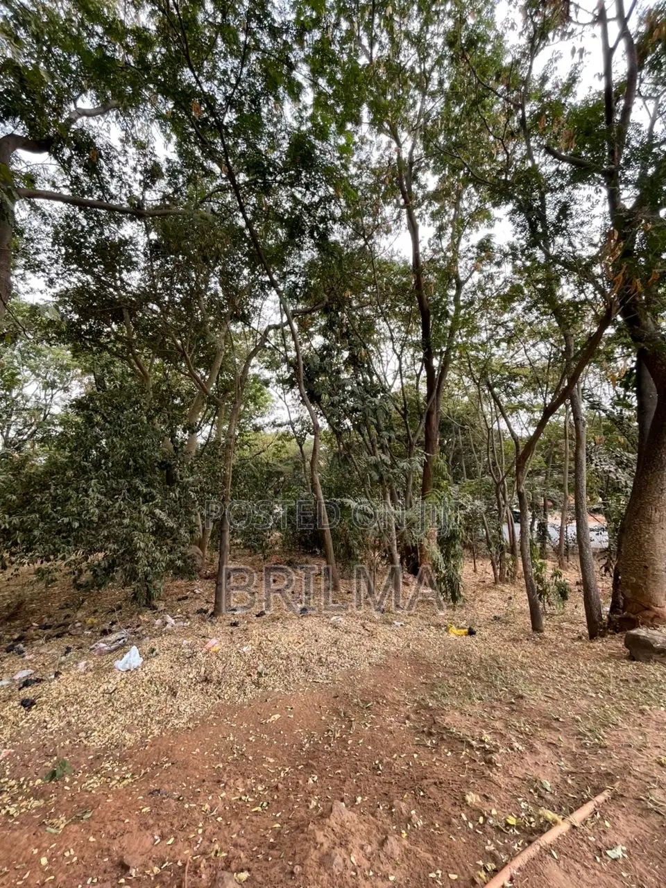 1.7 Hectares of Land in Maitama