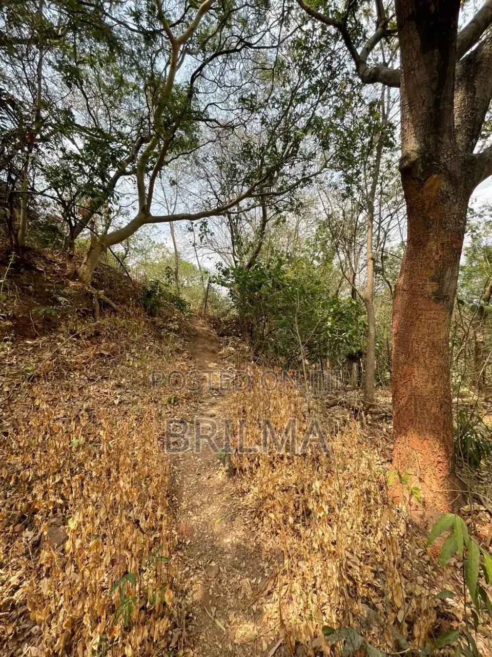1.7 Hectares of Land in Maitama