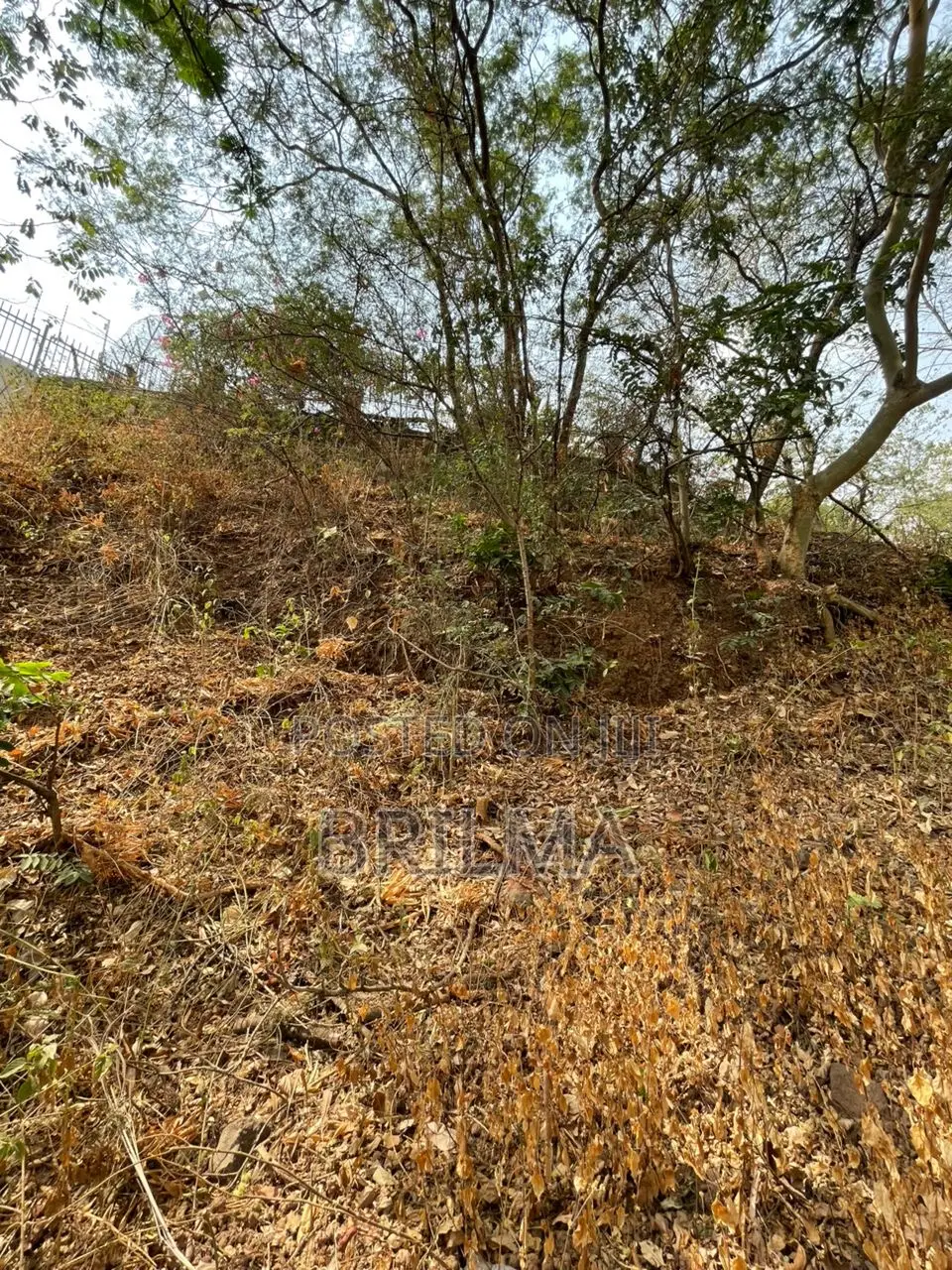 1.7 Hectares of Land in Maitama