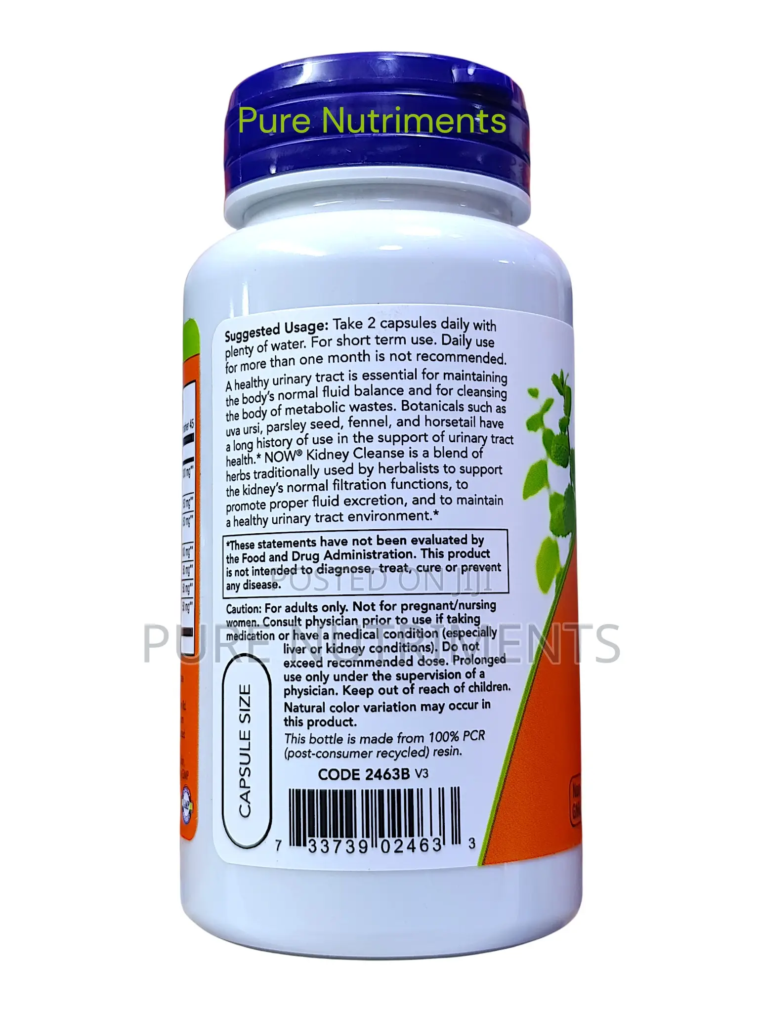 Now Kidney Cleanse–Kidney Urinary Tract Support Capsules 90 Veg Caps
