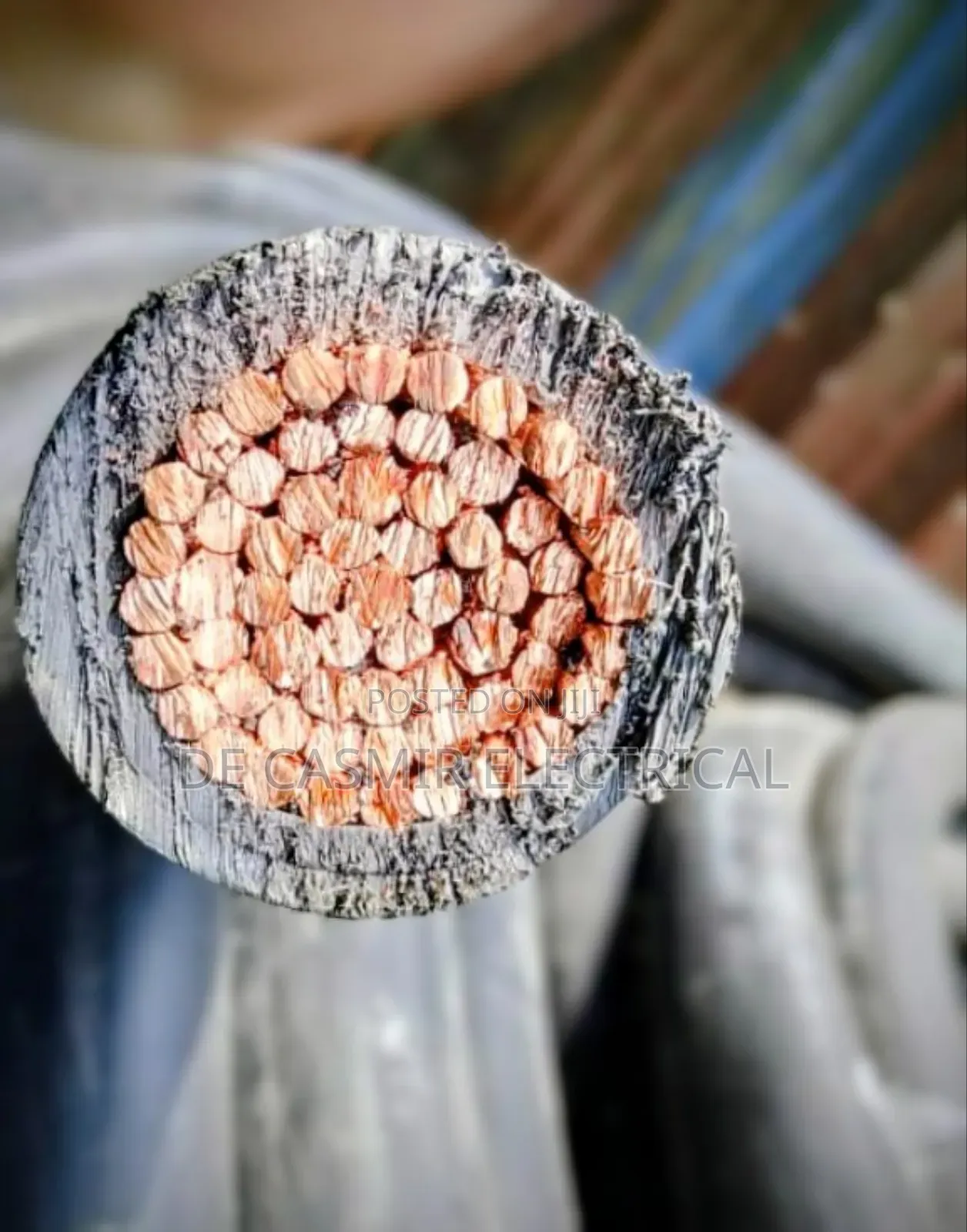 1x500mm2 Pvc/Pvc Cable