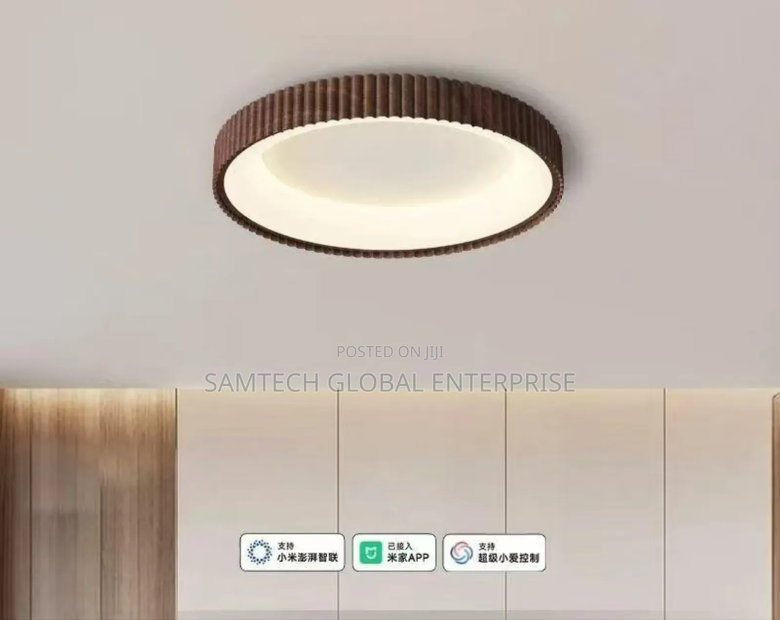 Luxury Ceiling Lights