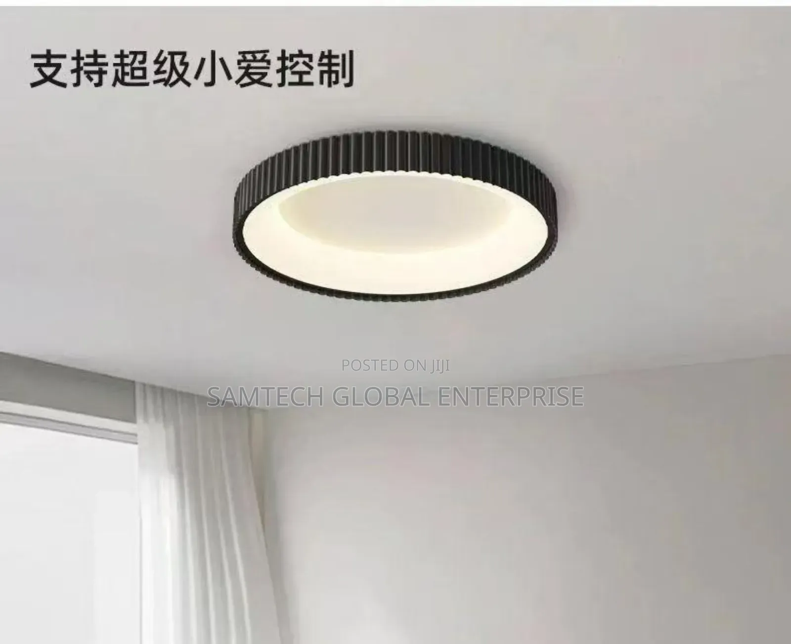 Luxury Ceiling Lights