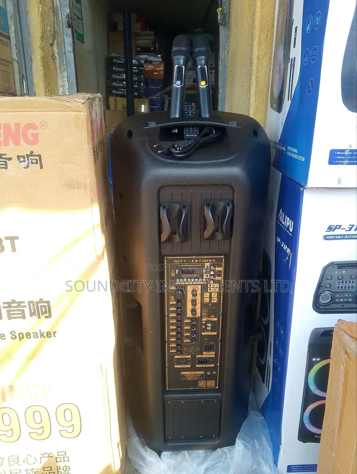Temeisheng A68t Heavy Duty Public Addressing System.