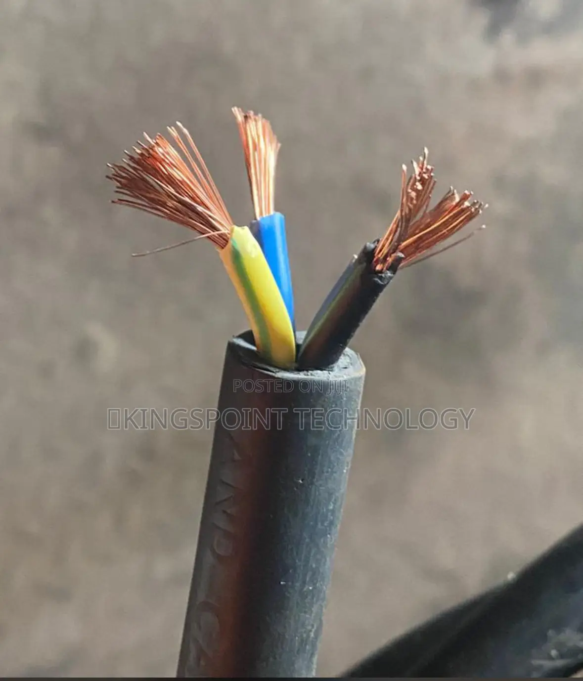 6mmx3c Flexible Wire Divine Sunny