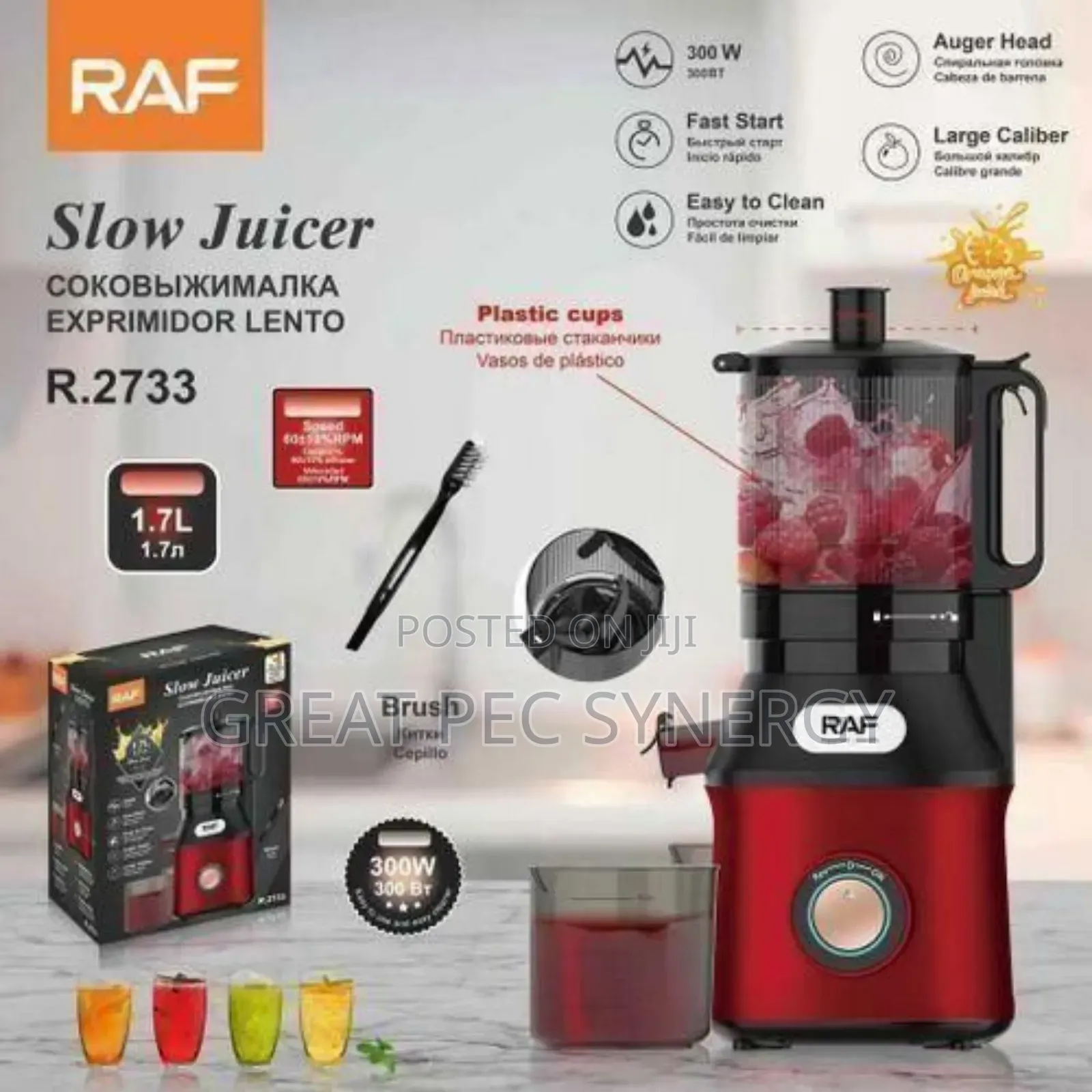 Raf Slow Juicer - Large Capacity