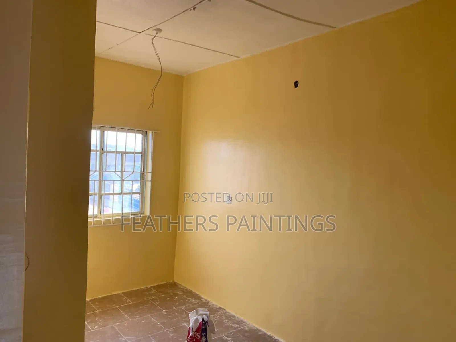 Professional House Screeding and Painting