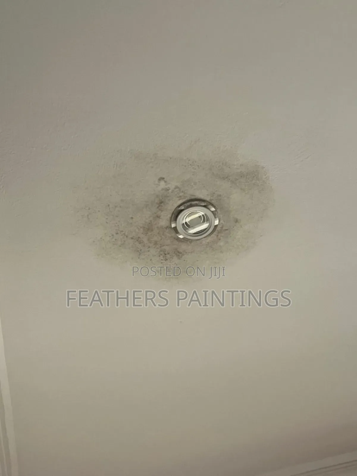 Professional Mould Treatment and Painting in Lagos