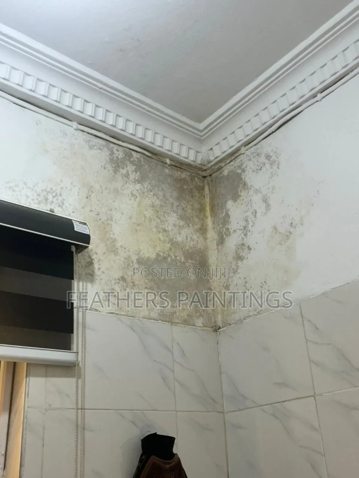 Professional Mould Treatment and Painting in Lagos