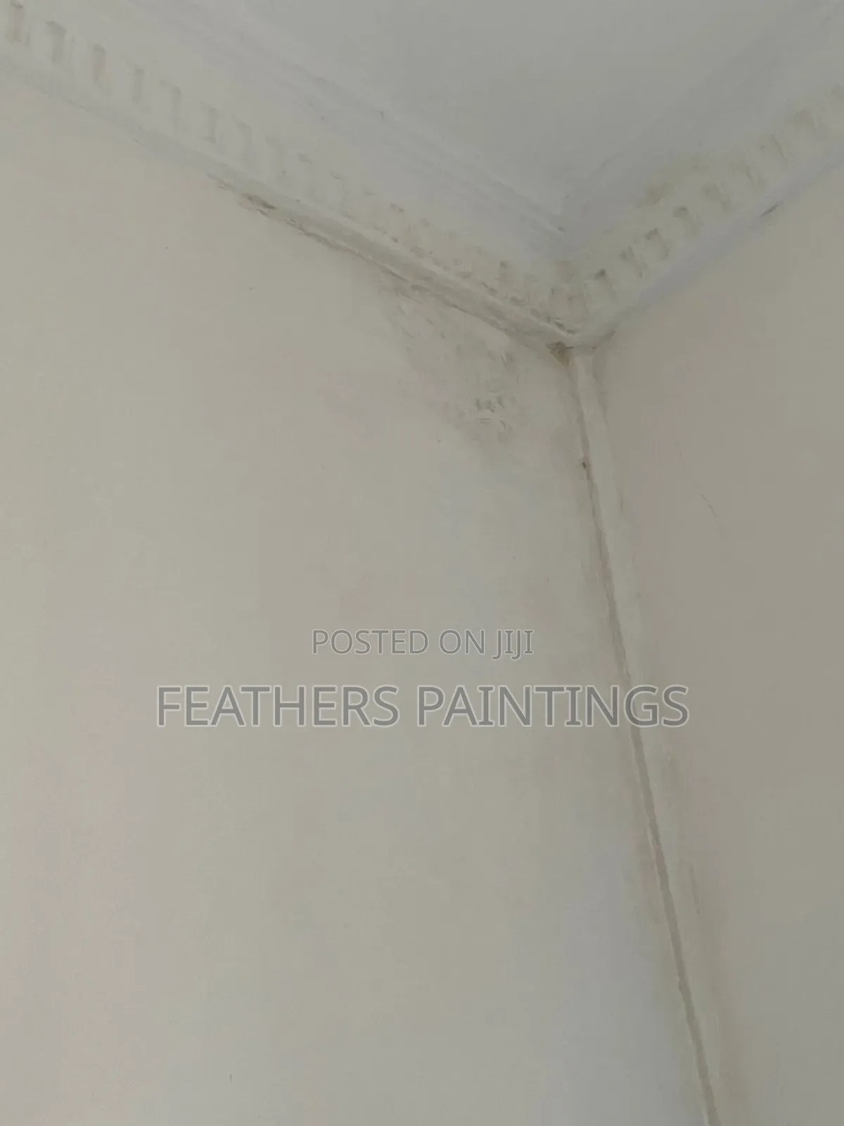 Professional Mould Treatment and Painting in Lagos