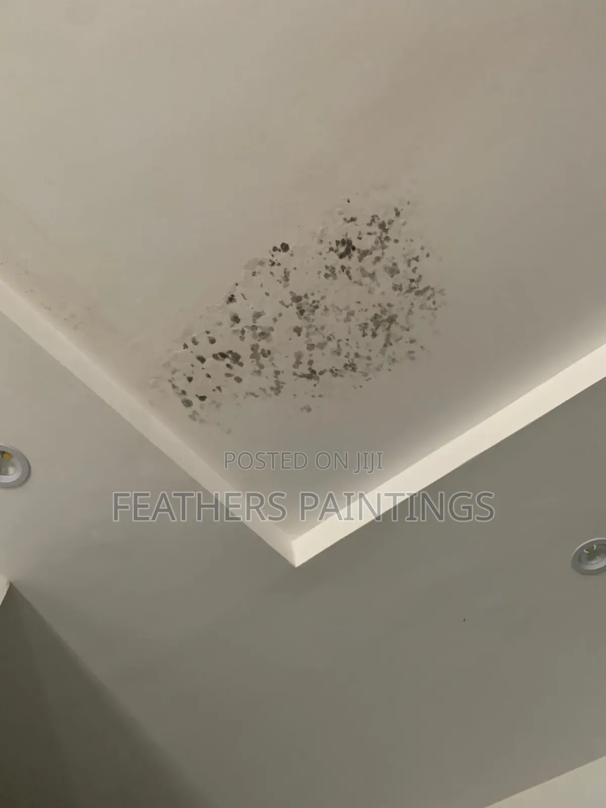 Professional Mould Treatment and Painting in Lagos