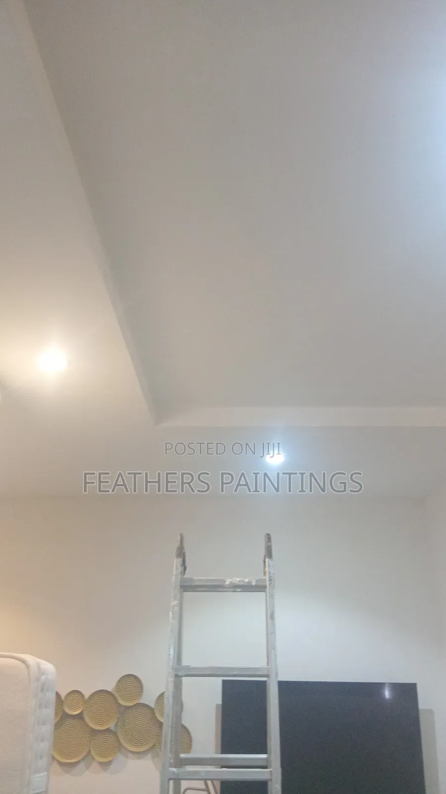Professional Mould Treatment and Painting in Lagos