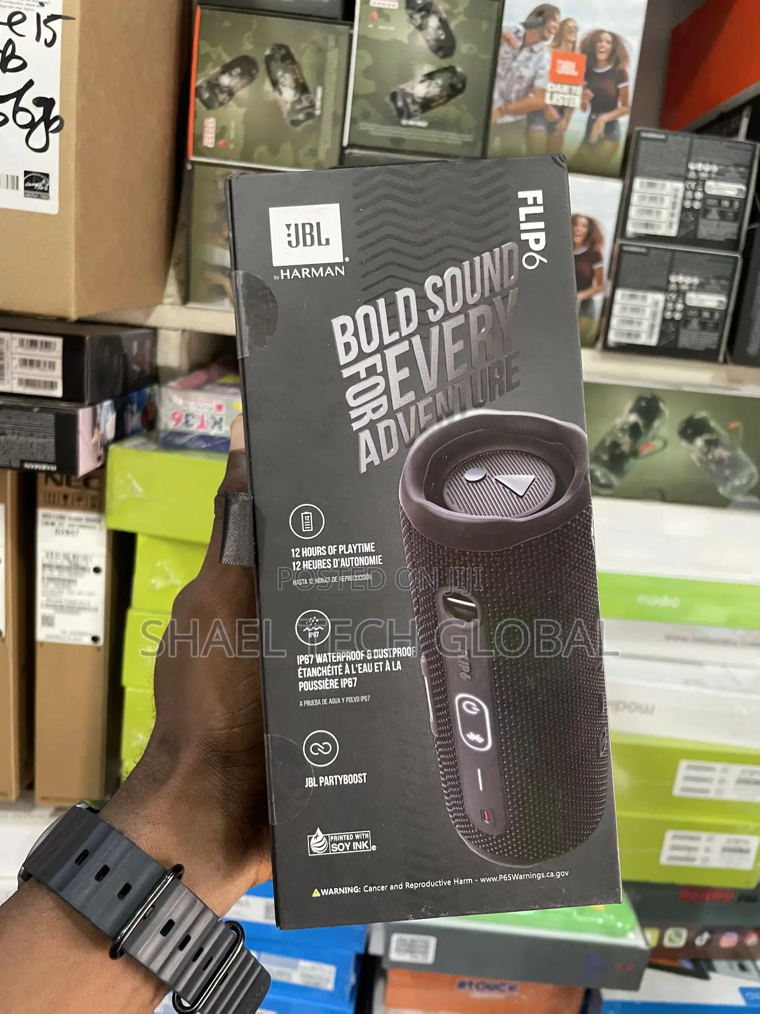 JBL Flip 6