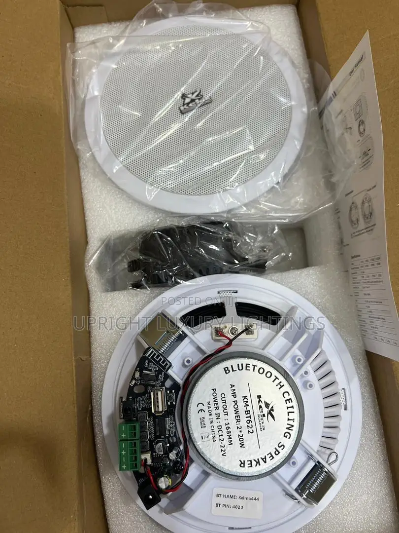 Ceiling Speaker. Double Bluetooth