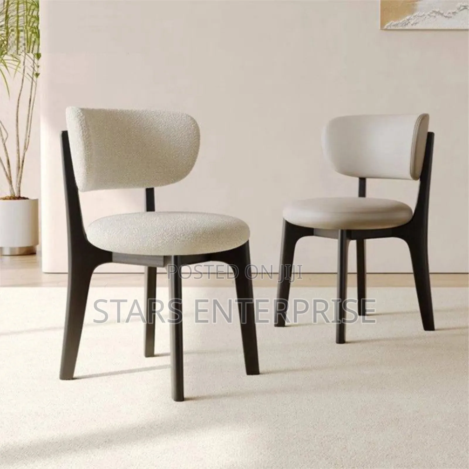 Dining Chair / Relaxing Chair