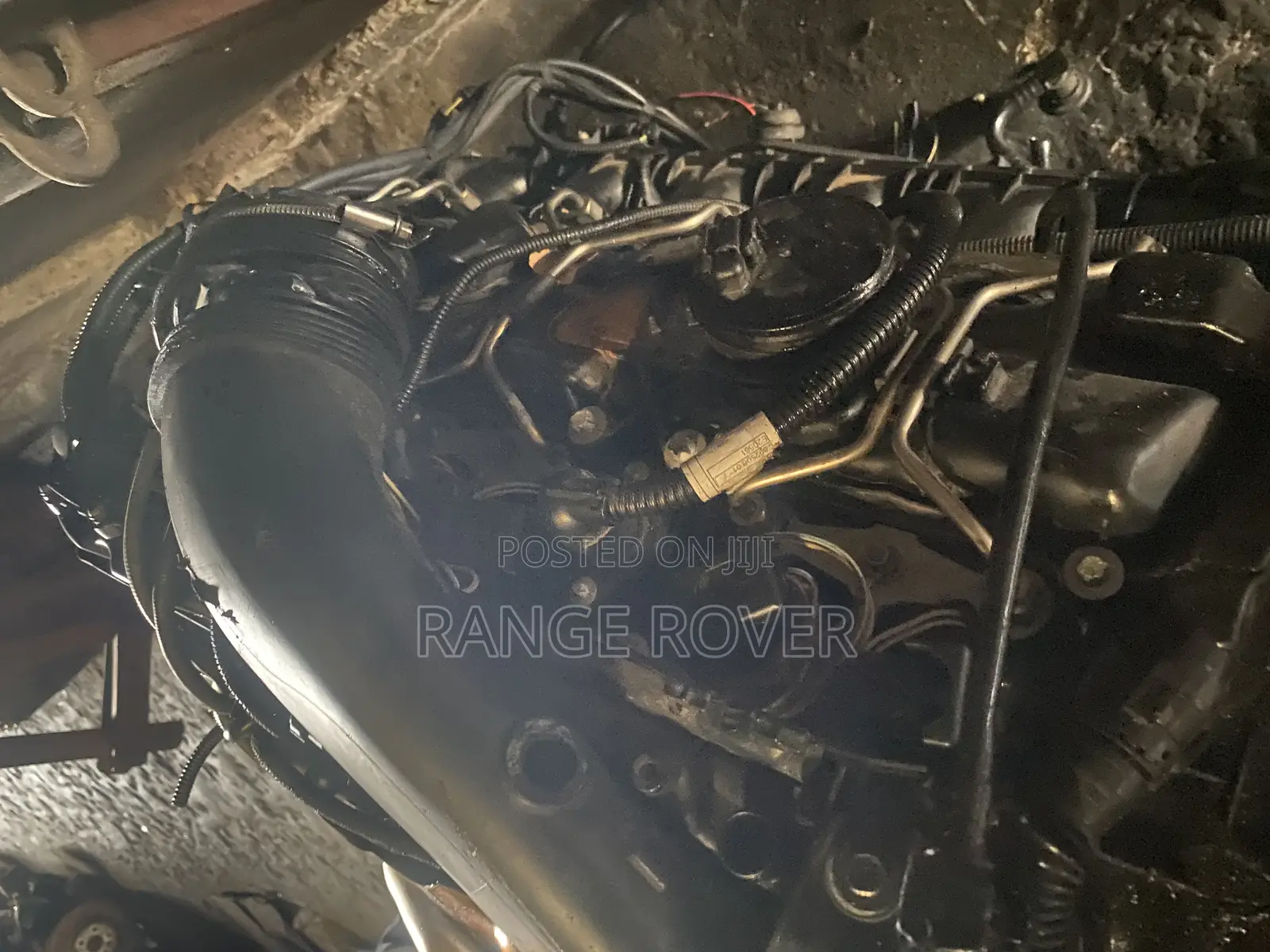 B M W Engine Six Plugs N55