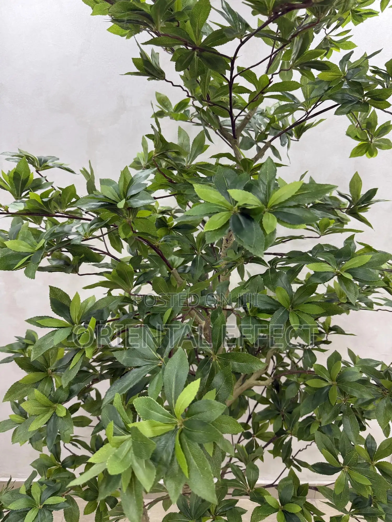 Artificial Pieris Tree – Realistic Faux Plant for Home Office Décor