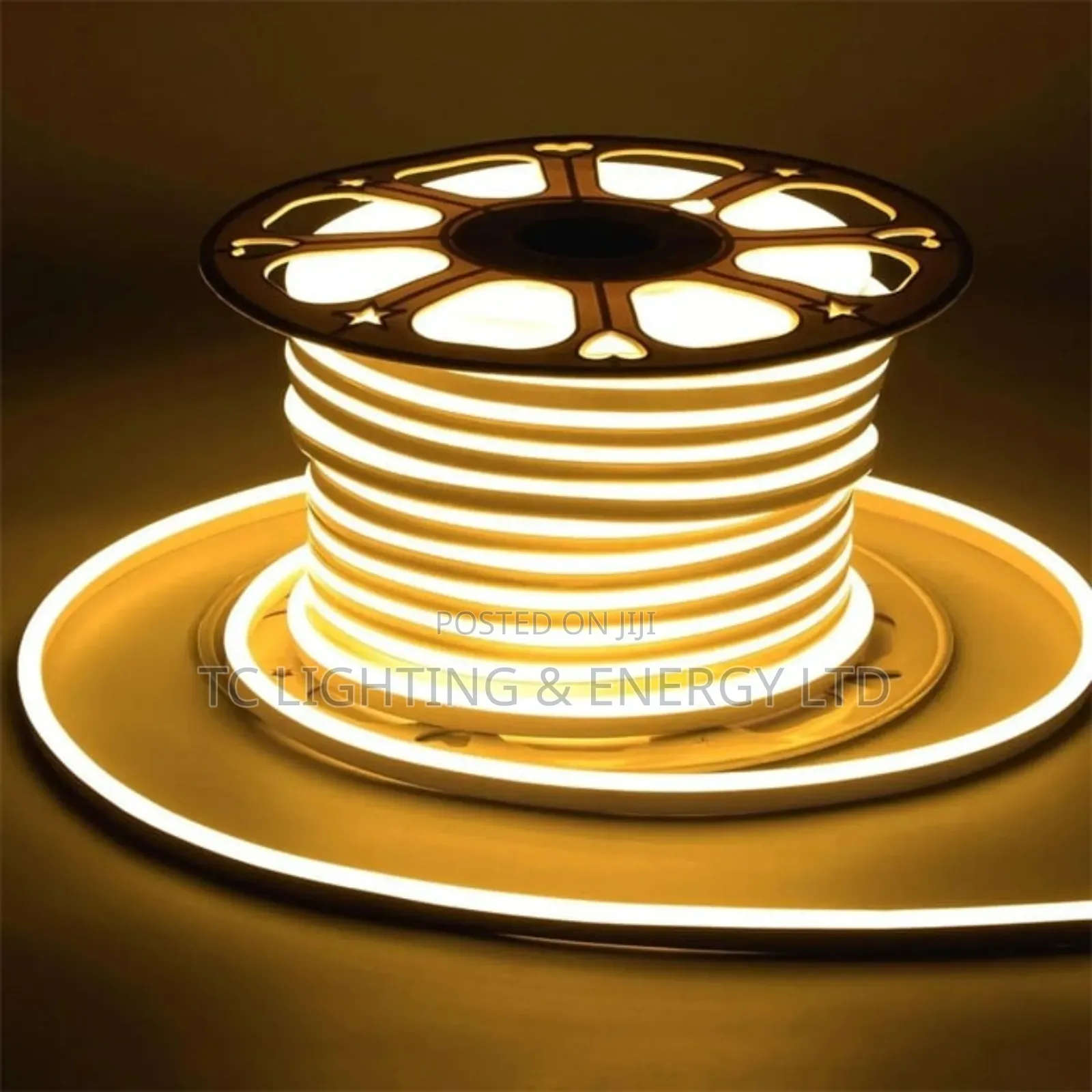 Neon Rope Light