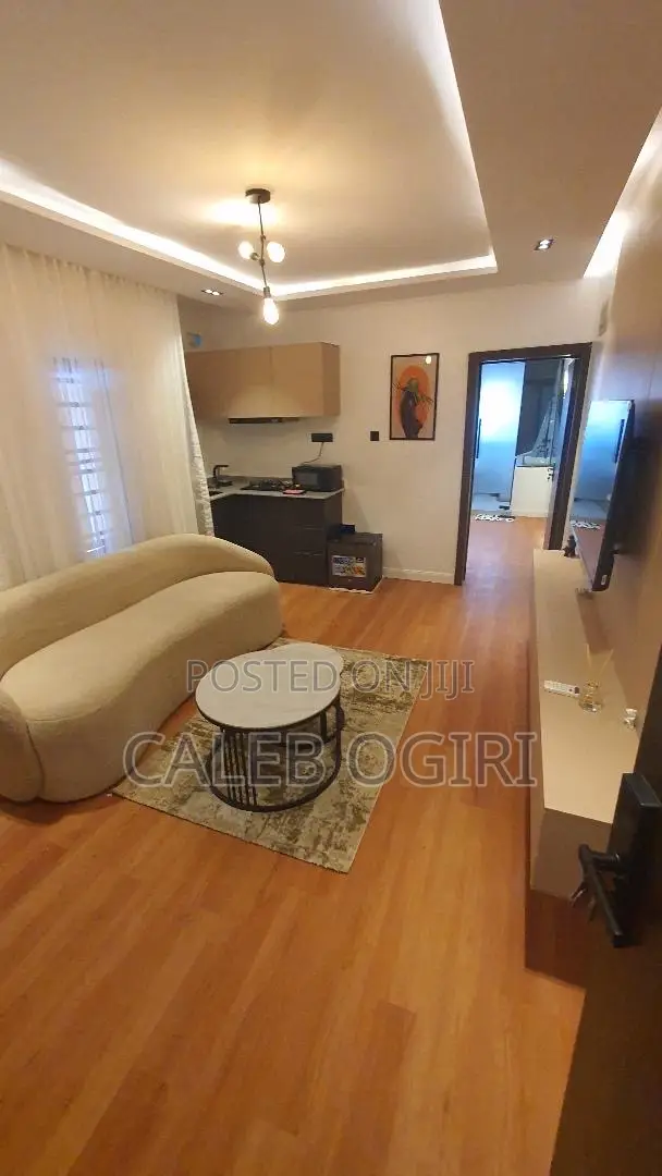 One Bedroom Apartment at Akoka Yaba